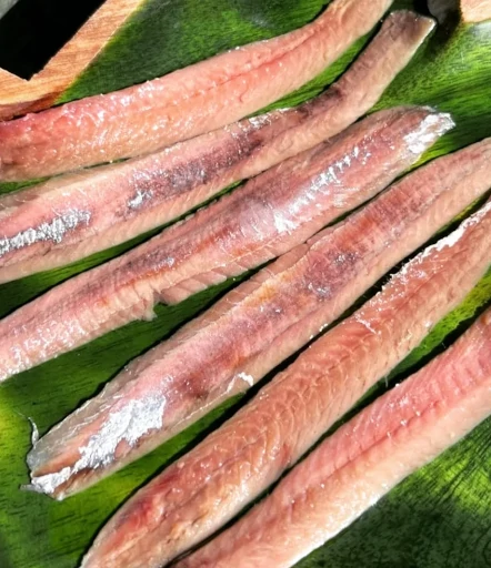 anchoas-materia-prima